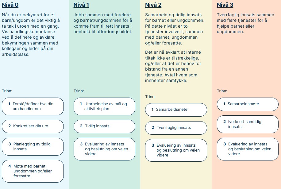 Illustrasjon Handlingsveileder - en oversikt